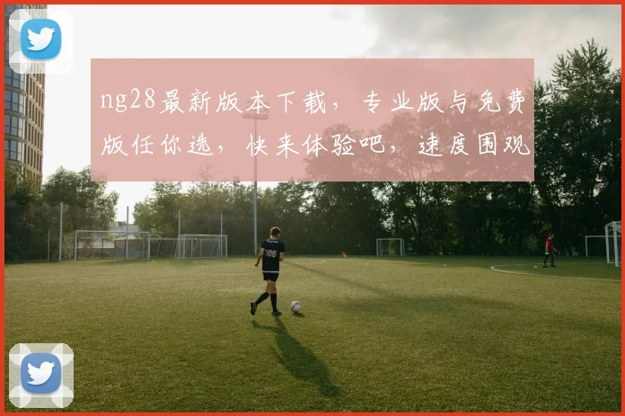 ng28最新版本下载，专业版与免费版任你选，快来体验吧，速度围观