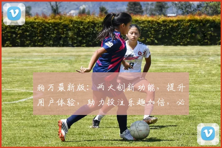 狗万最新版：两大创新功能，提升用户体验，助力投注乐趣加倍，必看