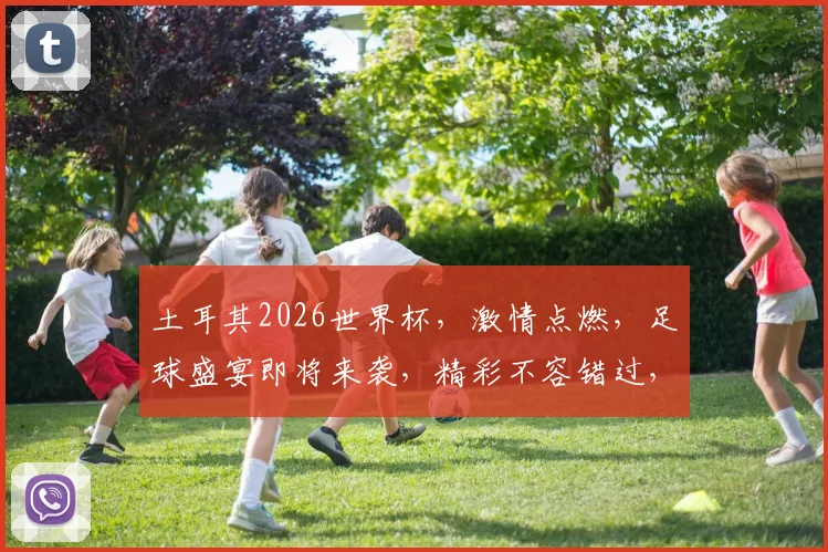 土耳其2026世界杯，激情点燃，足球盛宴即将来袭，精彩不容错过，共赴狂欢之旅