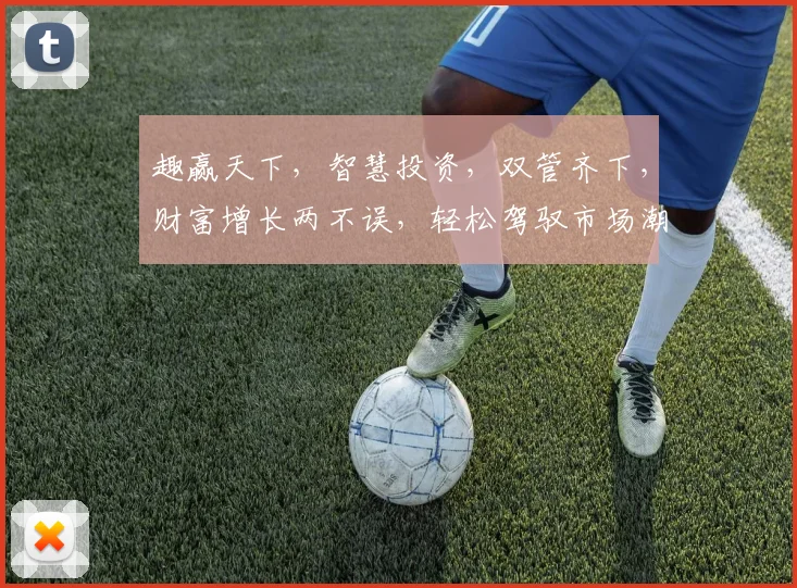 趣赢天下，智慧投资，双管齐下，财富增长两不误，轻松驾驭市场潮流