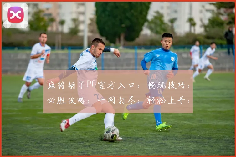 麻将胡了PG官方入口，畅玩技巧，必胜攻略，一网打尽，轻松上手，快来体验
